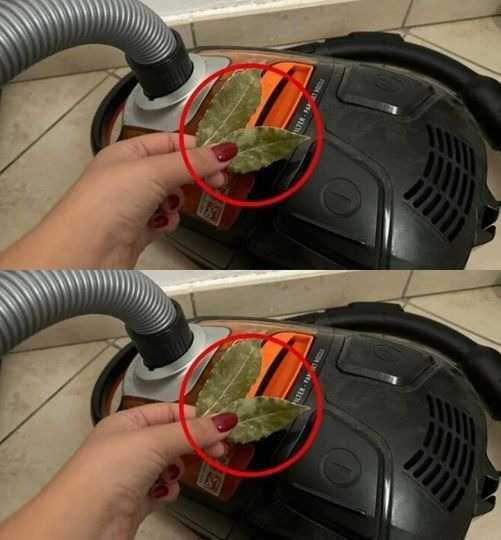 As a cure-all that even our great-grandmothers used, place one bay leaf in the vacuum.