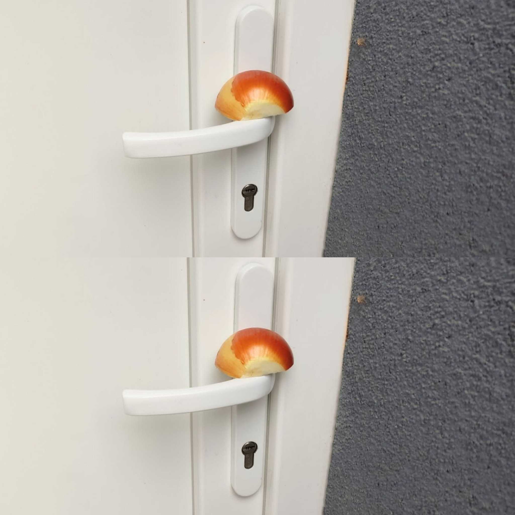 The Surprising Effect of Leaving a Fresh Onion Outside Your Door