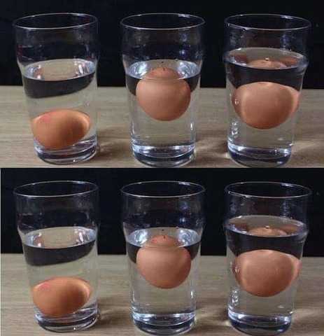 5 ways to tell if an egg is fresh or rotten