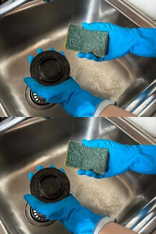 Ein glänzender Ofen und Herd mit dieser Reinigungsmethode: Nie wieder hartnäckiger Schmutz in der Küche