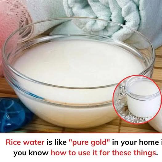Rice water is like “pure gold” in your home