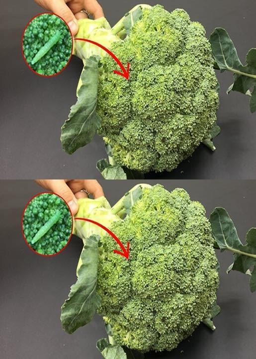 Washing broccoli with just water is wrong! Here’s how to clean it safely.