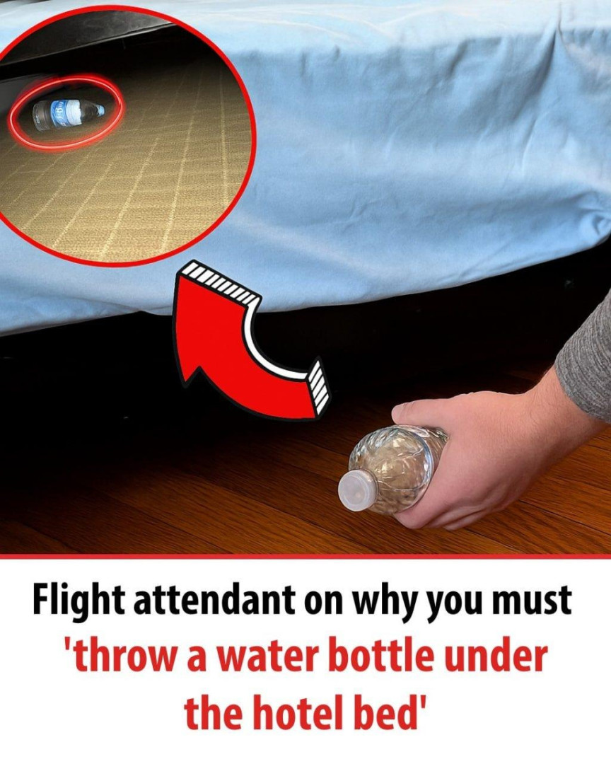 Flight Attendant Reveals Why You Should Throw a Water Bottle Under the Hotel Bed