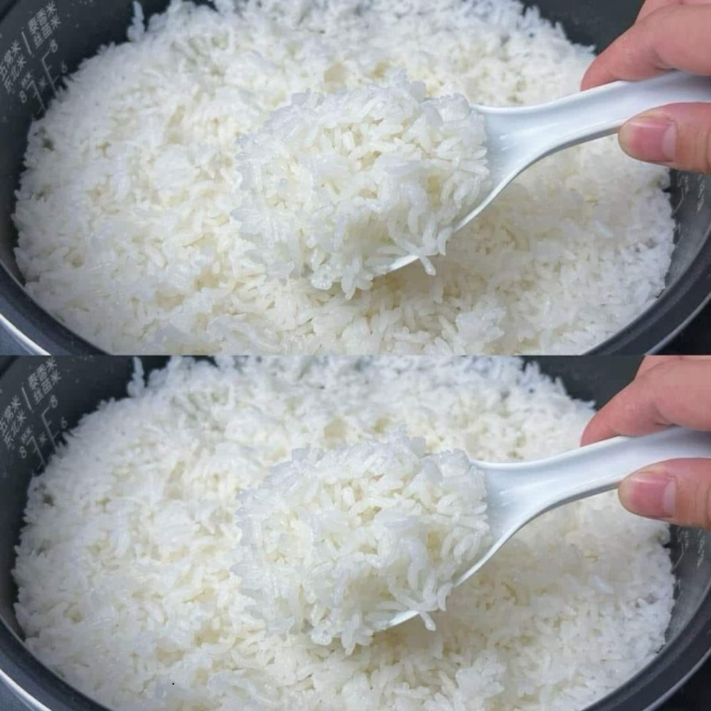 Elevate Your Rice: The Restaurant Industry’s Best-Kept Secret