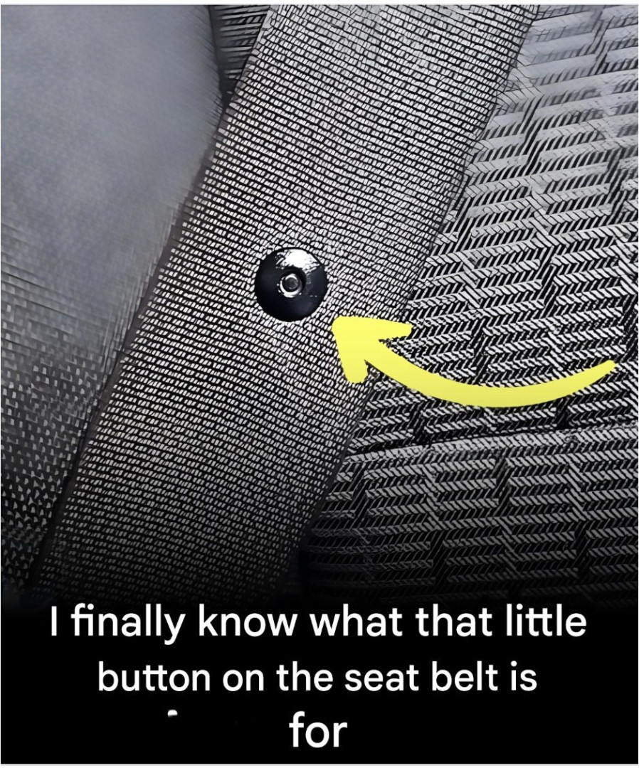 What is the little button on the seat belt for? A little-known use.