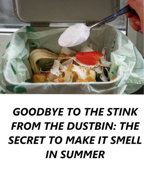 How to Naturally Deodorize Your Trash Can: 7 Easy, Eco-Friendly Remedies