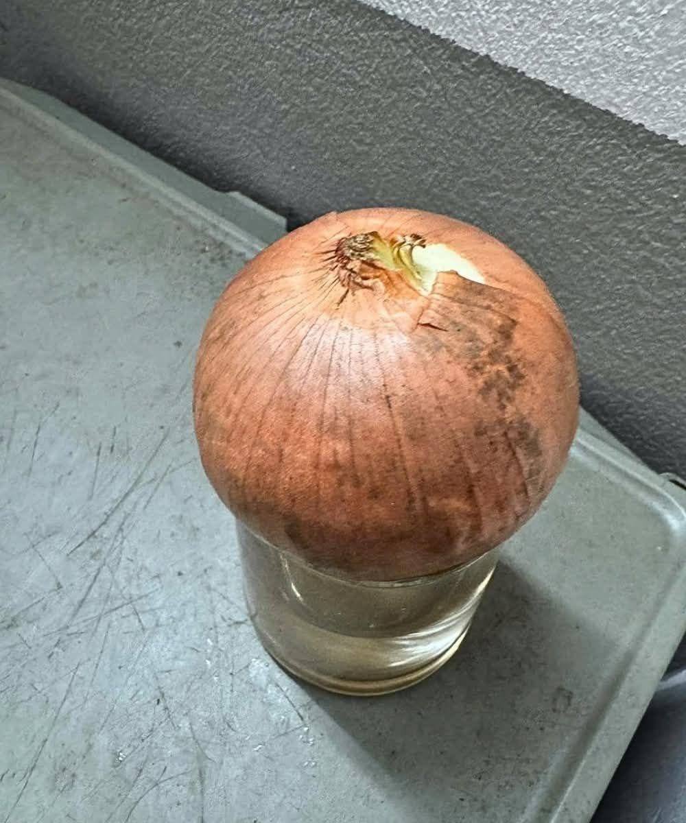 The Surprising Benefits of Keeping an Onion in Your Room