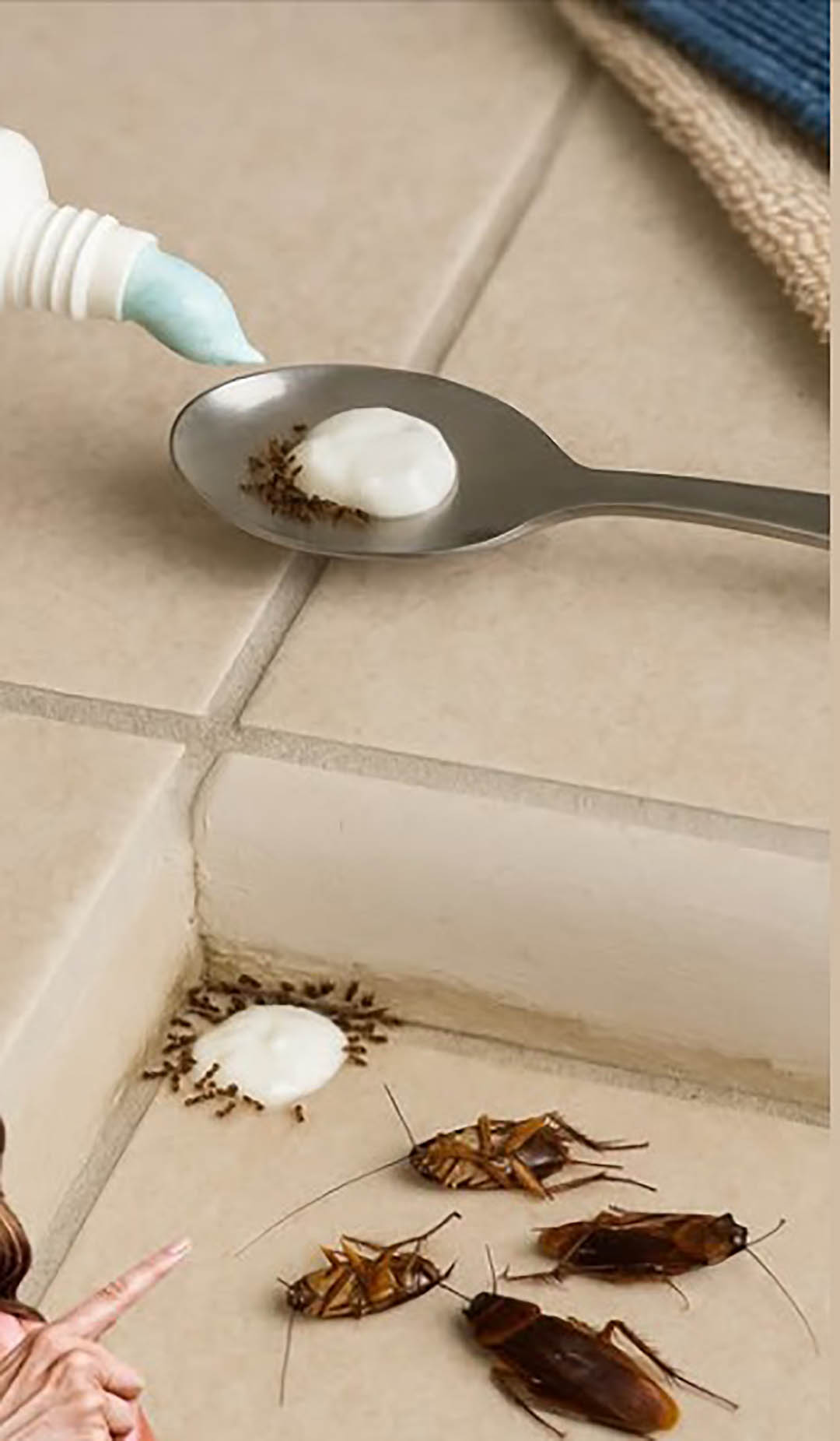 Put this in your house for 1 hour and you will never see flies, mosquitoes or cockroaches again