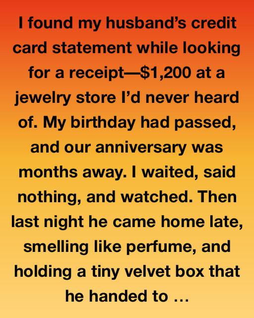 The Velvet Box and the Hidden Truth: A Story of Betrayal, Courage, and Choosing Yourself