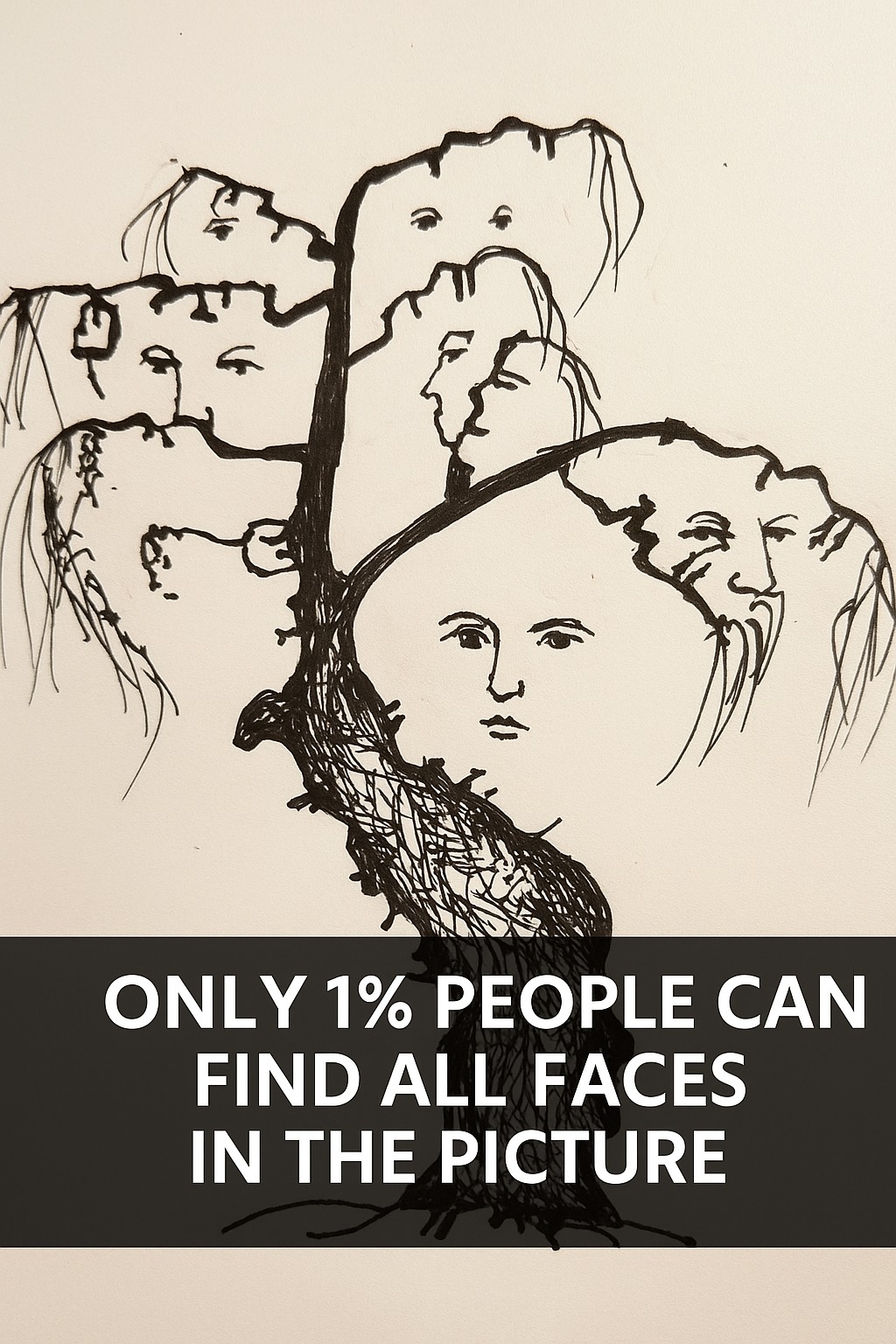 Most People Fail This Test — Can You Find All the Faces in the Picture?